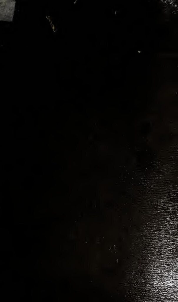 États-Unis : Un bébé naît grâce à un utérus greffé provenant d’une donneuse décédée (vidéo)