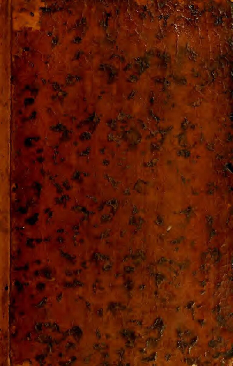 Mexique : un maire contraint de défiler en vêtements de femmes en guise de punition (vidéo)