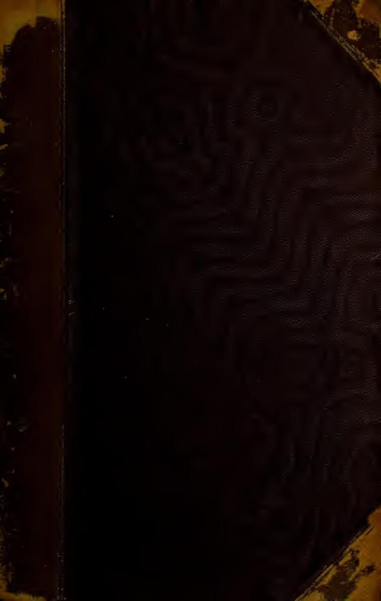 Des milliers d’ossements humains retrouvés au Vatican