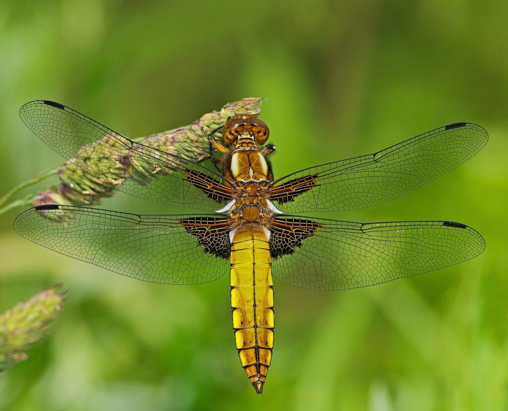 La sortie fracassante de Cristiano Ronaldo qui détruit Erik ten Hag