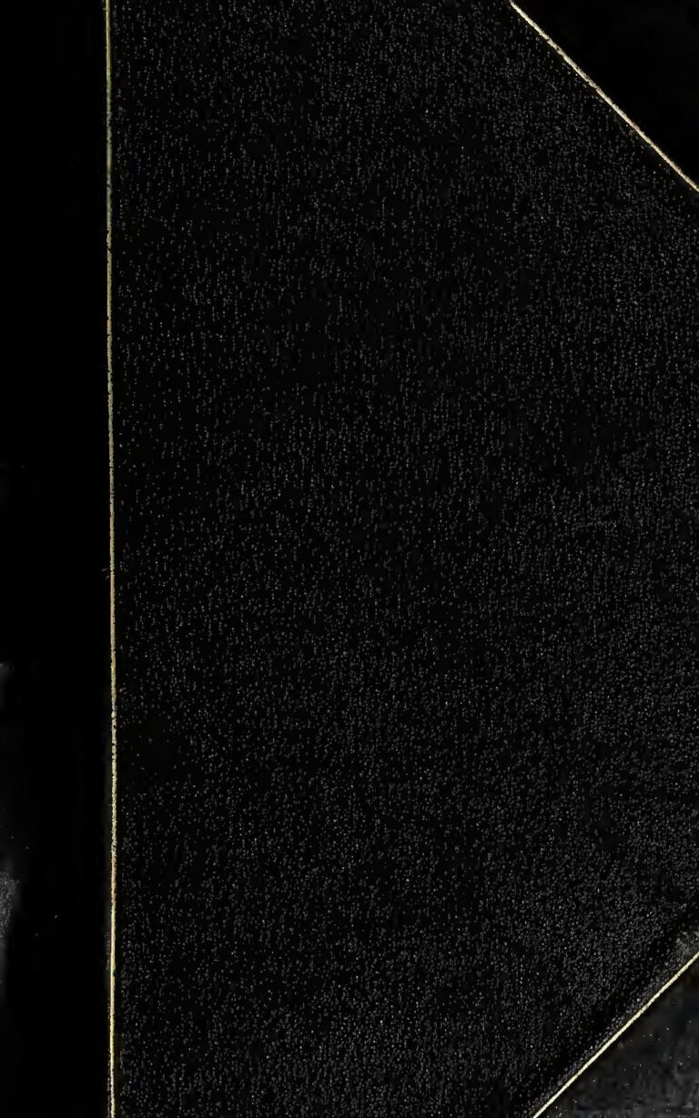 Arrêt sur image : La mère de Maël et Carmen chez Arafat DJ