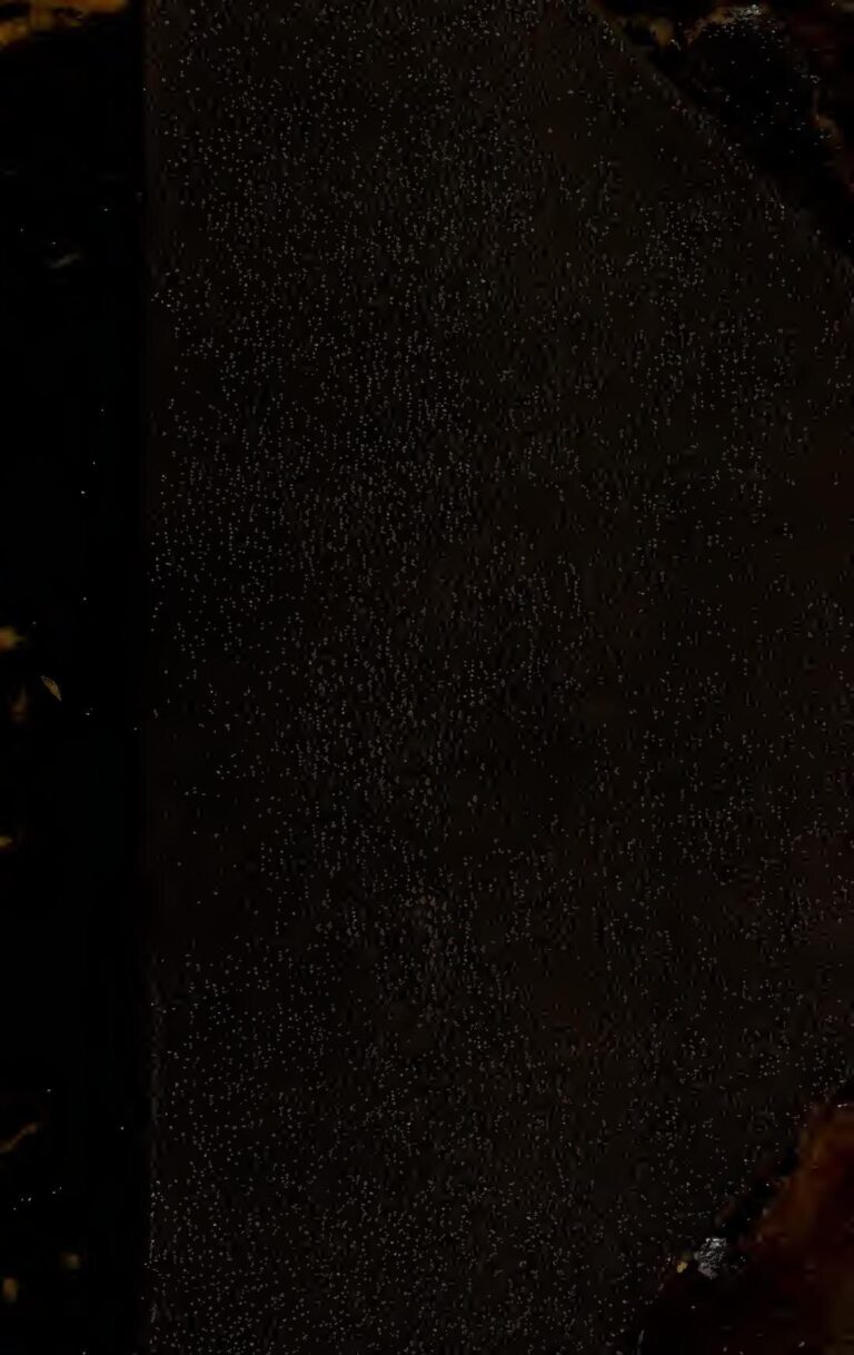 Les pièges du Black Friday