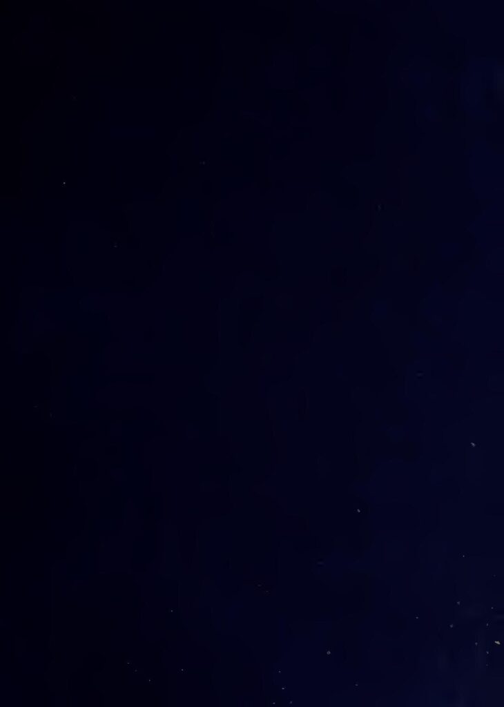 Demi Rose se dévoile en lingerie et nous prouve que les femmes rondes peuvent être très sexy!