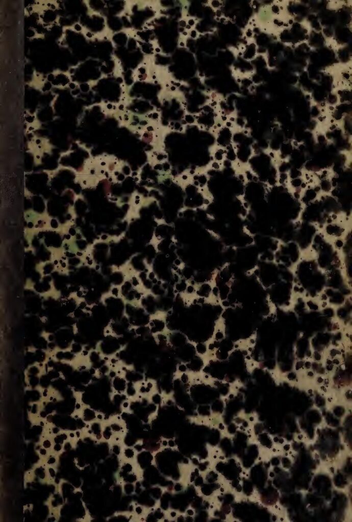 Gabon : Un Chinois condamné pour exploitation illégale de bois