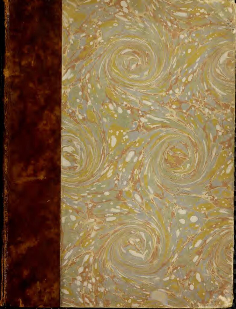 Vatican : Les femmes Manifestent en Pleine Messe du Pape François (vidéo)