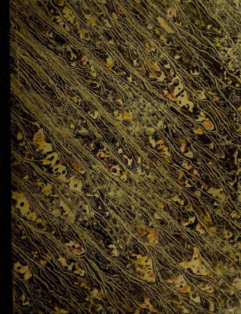 OFFRE D&rsquo;EMPLOI: Un(e) Ingénieur Etudes de prix en Génie civil