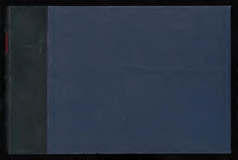 Chine : Zao, la nouvelle application virale qui suscite des inquiétudes