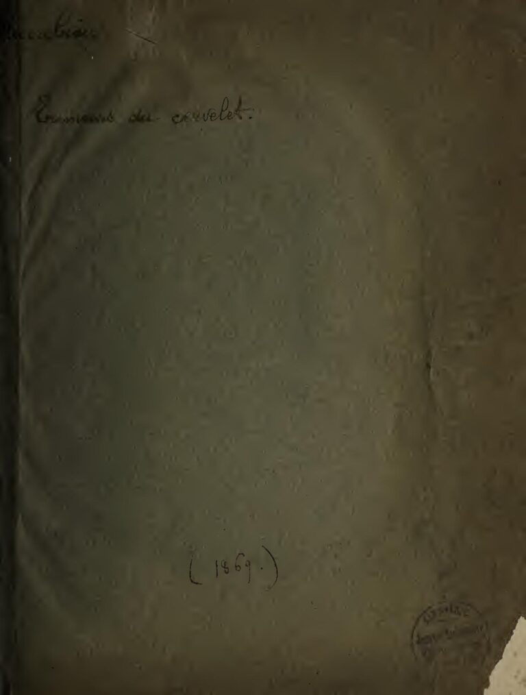 Peter 007 enfin libre : Les premiers mots du cyber-activiste