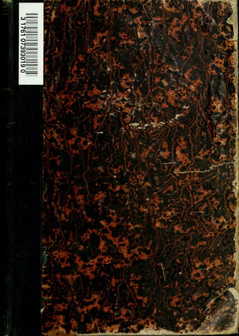 Mexique : L’ouragan Otis frappe Acapulco, des morts et des personnes disparues déplorés