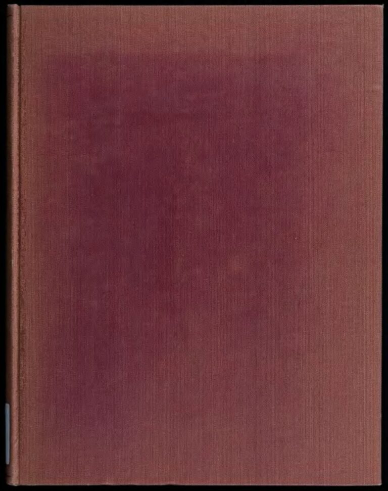 Égypte: Plus de 30 morts dans un grave accident de route ce week-end