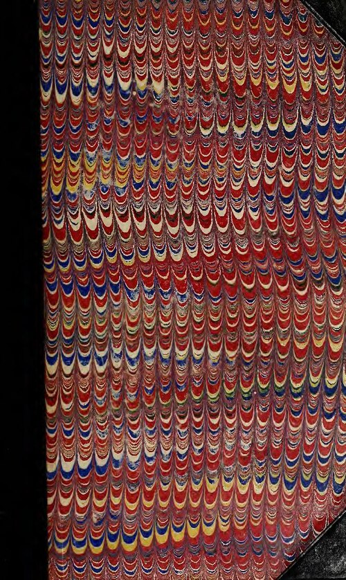 A 26 ans, une malienne d’origine devient vice-présidente du Parlement allemand