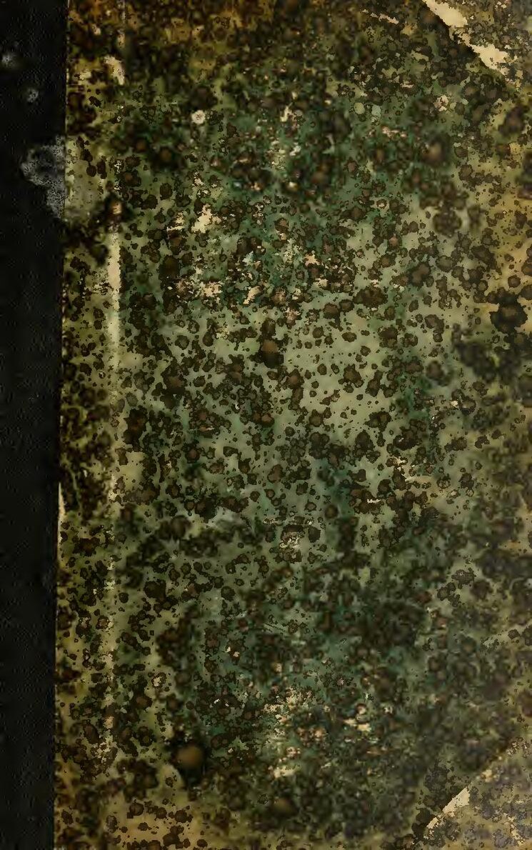 Afrique Du Sud: Un Chasseur Condamné À Une Lourde Peine De Prison Pour Avoir Tué Un Bébé Rhinocéros