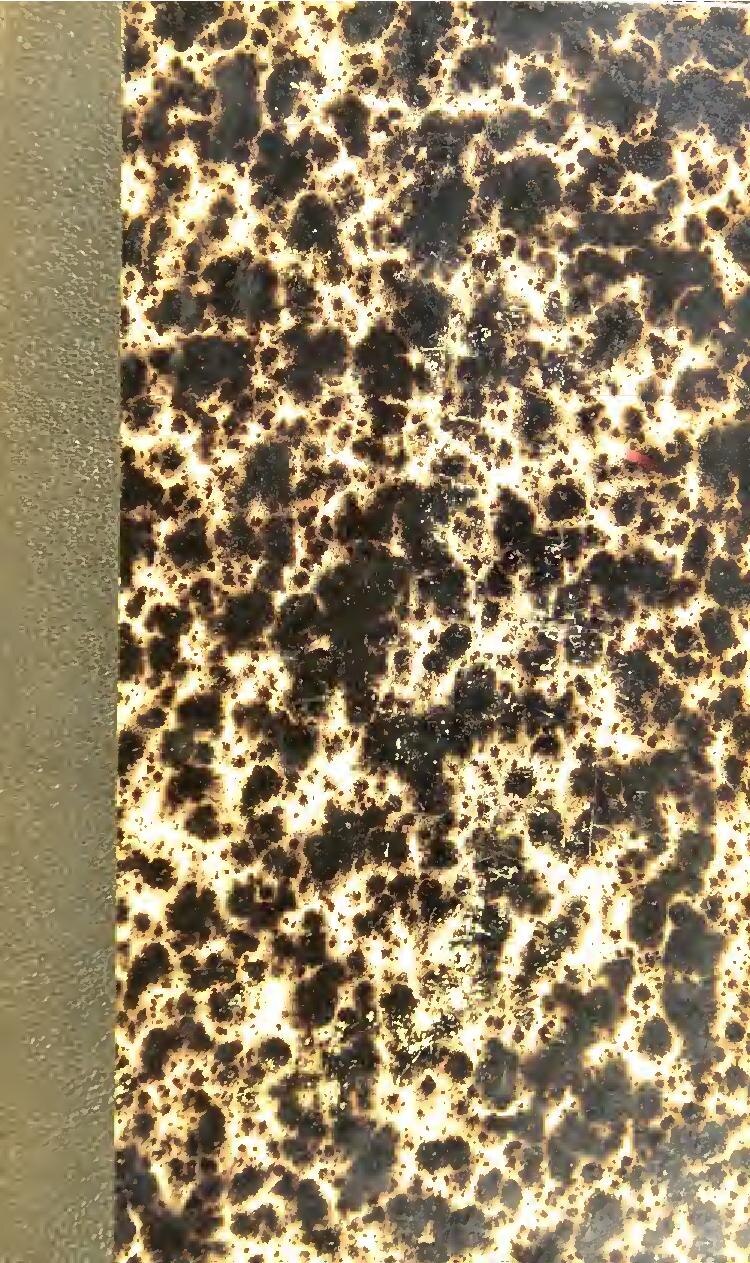 Les Laxatifs les plus puissants au monde !