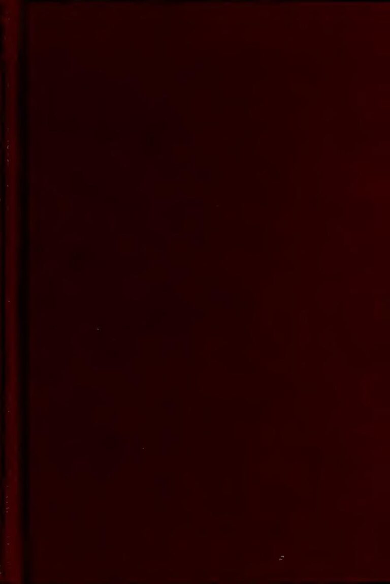 Chris Brown bientôt papa d’un petit garçon