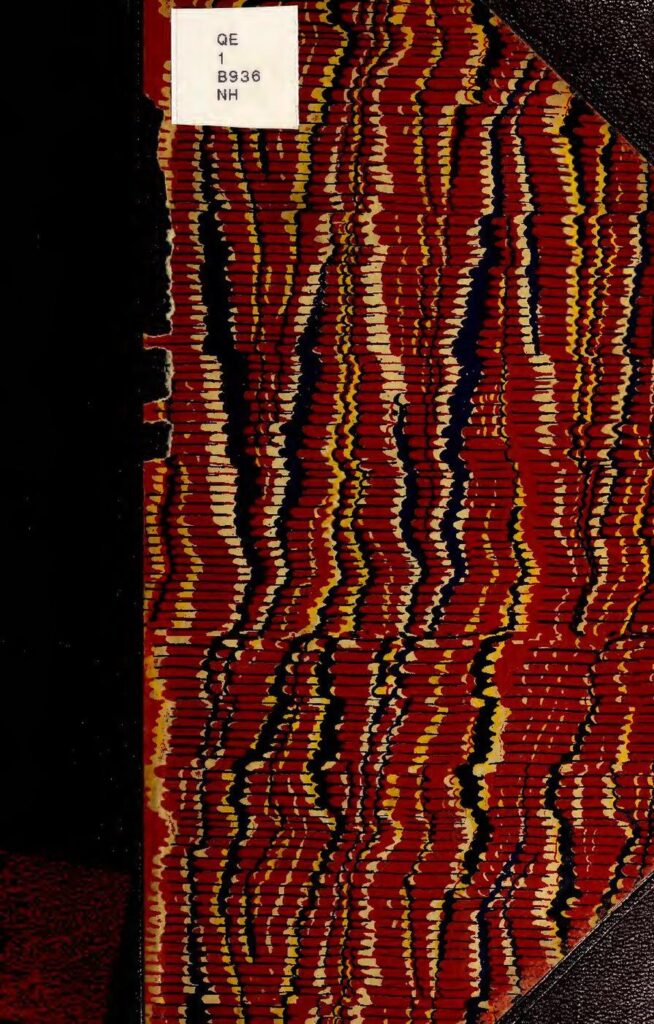 Élection Présidentielle au Congo : Félix Tshisekedi désigné candidat de l&rsquo;USN