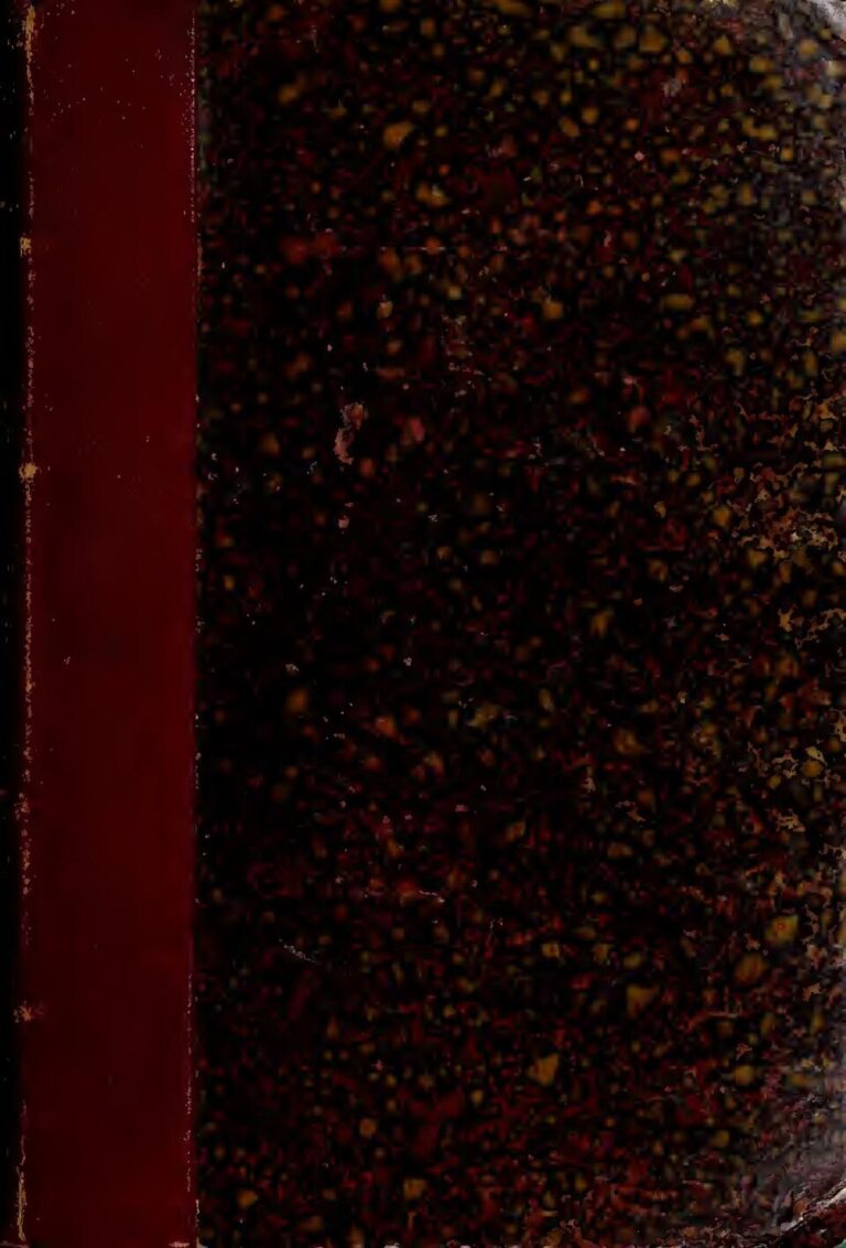 Un mannequin découvre que Princess Shyngle se fait passer pour elle sur la toile