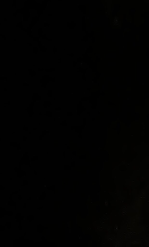 Avocat : 5 bonnes raisons de consommer fréquemment ce fruit