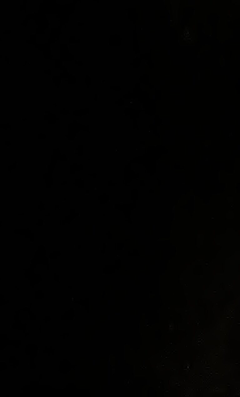 Avocat : 5 bonnes raisons de consommer fréquemment ce fruit