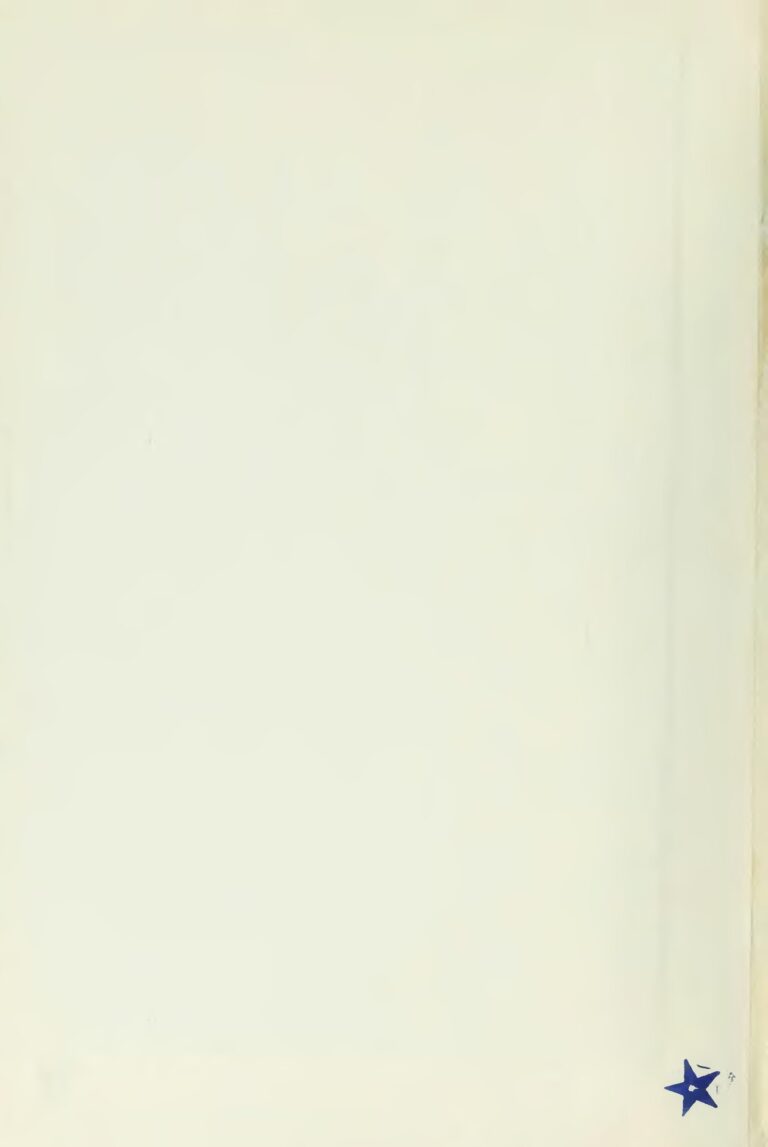 Ballon d’Or : Voici le choix qu&rsquo;a fait Zinedine Zidane au trophée Kopa !