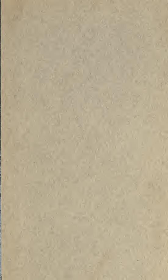 Cinq Choses À Savoir Sur L&Rsquo;Épouse De L&Rsquo;Émir De Dubaï