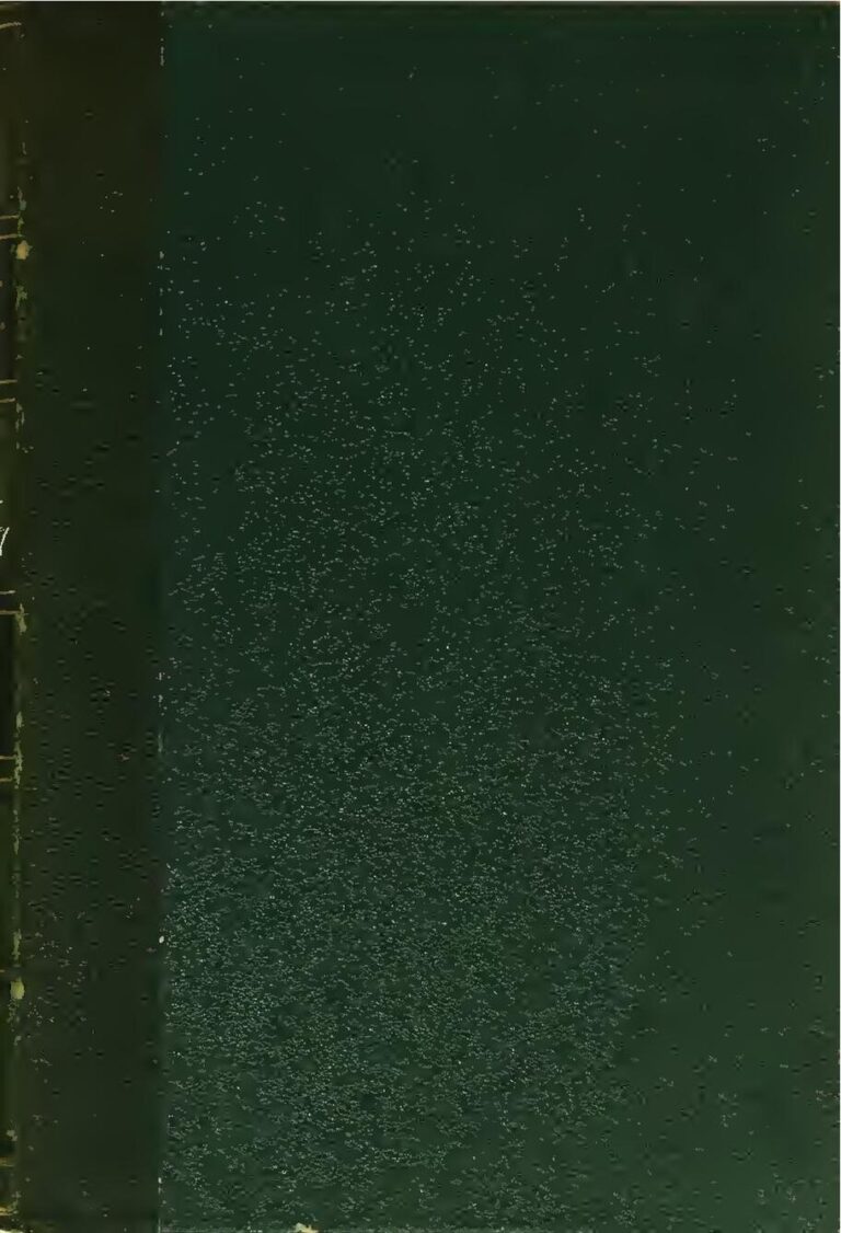 5 types de céréales qui favorisent la bonne croissance des enfants