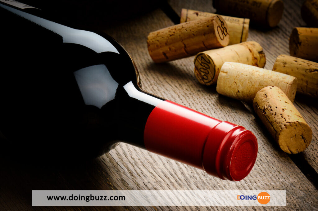 Pourquoi les caves à vin ont la côte ?