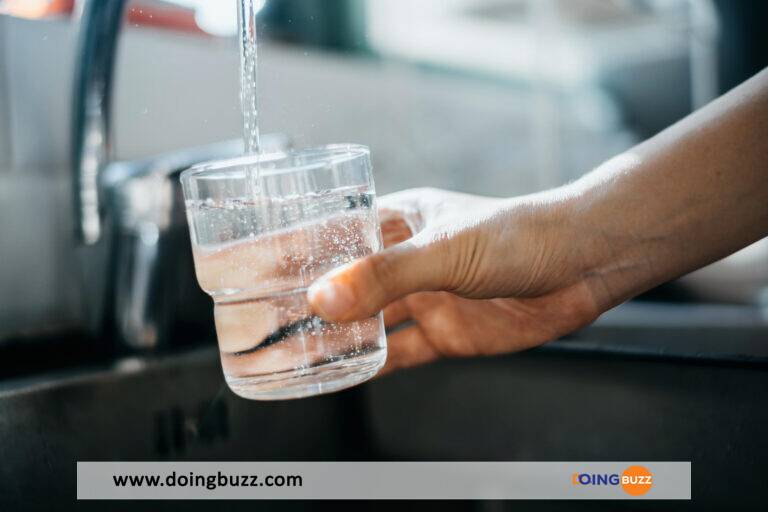 Nationalisation De L&Rsquo;Eau Potable Au Niger : Fin Du Contrat Avec Le Groupe Français Veolia