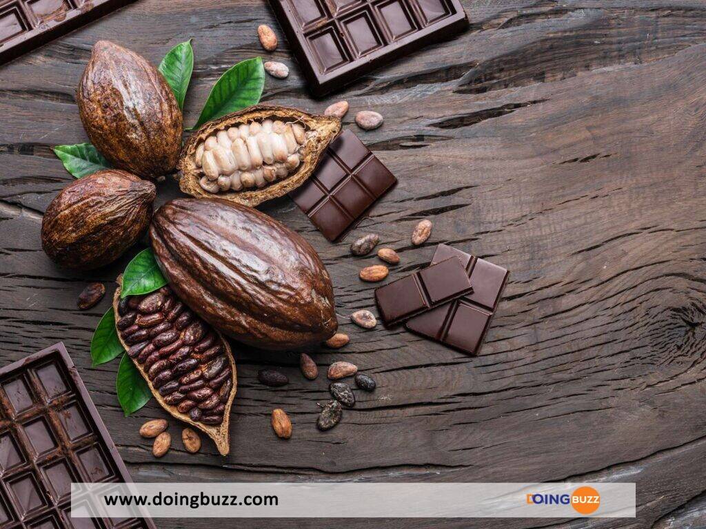 Pourquoi les producteurs de cacao camerounais gagnent trois fois plus que ceux de Côte d’Ivoire?