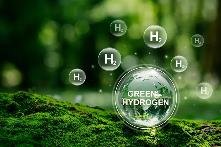 Le Maroc Se Lance Dans L&Rsquo;Hydrogène Vert : 100 Investisseurs À Bord
