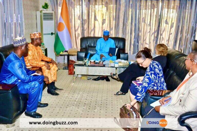 Que Font Des Hauts Responsables Américains Au Niger ?