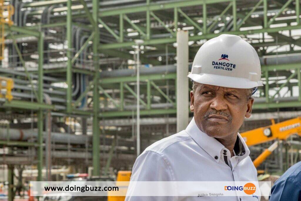 Aliko Dangote : « On m’a mis en garde de ne pas investir au Nigeria »