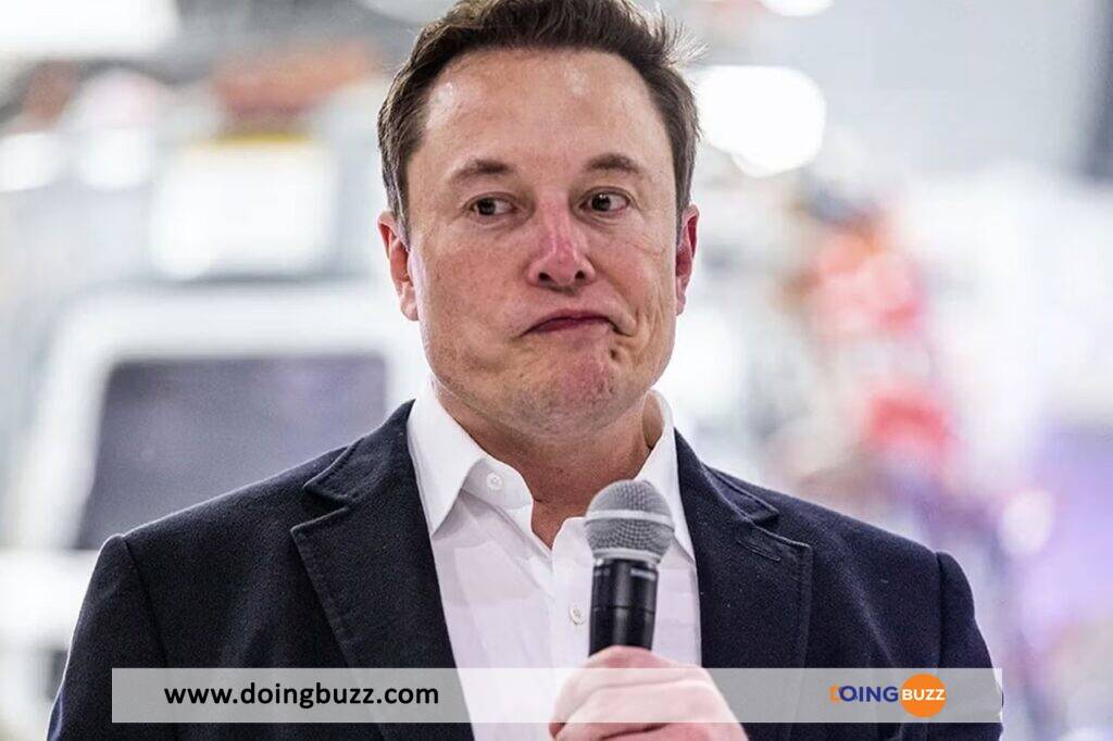 Le Zimbabwe dit « stop » à Elon Musk