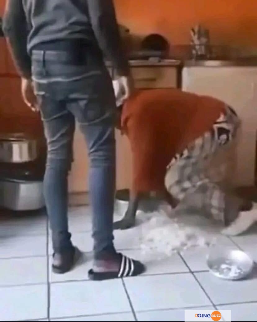 Adolescent,Agresser, Grand-Mère De 82 Ans