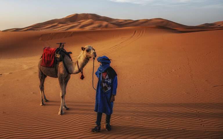 Voyage en Égypte : Explorez la Terre des Pharaons et Faites une Croisière sur le Nil Inoubliable