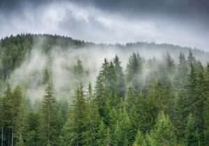 Pays Durables : Des Leaders À La Pointe De La Révolution Écologique 