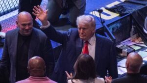 Donald Trump compte organiser un combat de MMA à la Maison Blanche le jour de son anniversaire