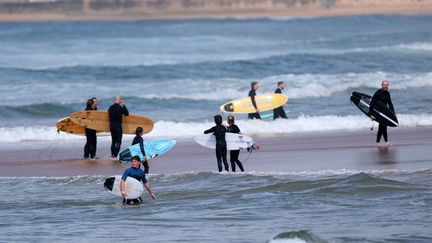 En Australie, les surfeurs adoptent des combinaisons spéciales pour se protéger des requins