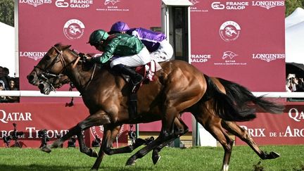 Prix de l'Arc de Triomphe : le pur-sang français Daryz, monté par Mickaël Barzalona, devient champion du monde du galop sur 2 400 mètres