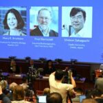 Le Nobel de médecine 2025 récompense la découverte du processus de contrôle des maladies auto-immunes
