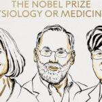 Le Nobel de médecine décerné aux Américains Mary E. Brunkow, Fred Ramsdell et au Japonais Shimon Sakaguchi