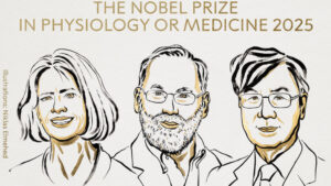 Le Nobel de médecine décerné aux Américains Mary E. Brunkow, Fred Ramsdell et au Japonais Shimon Sakaguchi