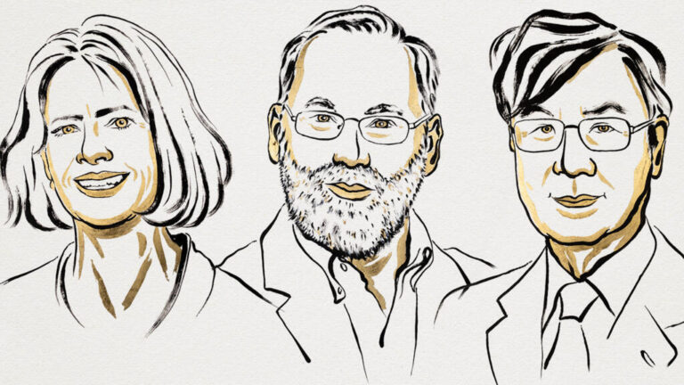 Le Nobel de médecine décerné à un trio pour la recherche sur le contrôle du système immunitaire