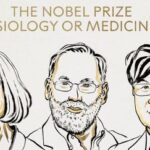 Le Nobel de médecine décerné aux chercheurs Mary Brunkow, Fred Ramsdell et Shimon Sakaguchi pour leurs recherches sur le contrôle du système immunitaire