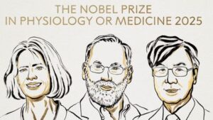 Le Nobel de médecine décerné aux chercheurs Mary Brunkow, Fred Ramsdell et Shimon Sakaguchi pour leurs recherches sur le contrôle du système immunitaire