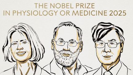 Le Nobel de médecine décerné aux chercheurs Mary Brunkow, Fred Ramsdell et Shimon Sakaguchi pour leurs recherches sur le contrôle du système immunitaire