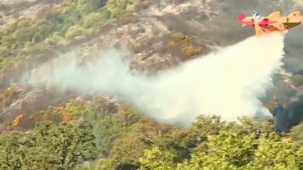 Deux incendies "maîtrisés" en Haute-Corse ont ravagé 400 hectares, les pompiers vigilants face au risque de reprises