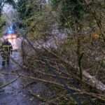 Tempête Amy : un homme meurt noyé en Seine-Maritime, un automobiliste tué par la chute d'une branche dans l'Aisne