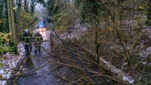 Tempête Amy : un homme meurt noyé en Seine-Maritime, un automobiliste tué par la chute d'une branche dans l'Aisne