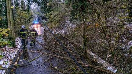 Tempête Amy : un homme meurt noyé en Seine-Maritime, un automobiliste tué par la chute d'une branche dans l'Aisne