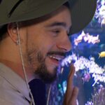 Expo, com&eacute;die musicale et m&ecirc;me aquarium : on sort o&ugrave; ce mois-ci ?